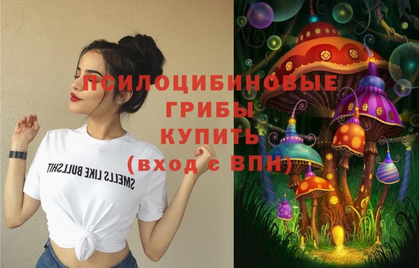 крисы Абинск