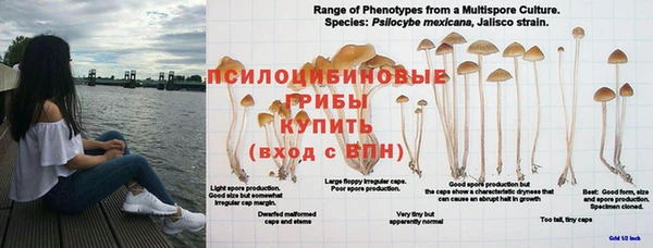 меф Алзамай