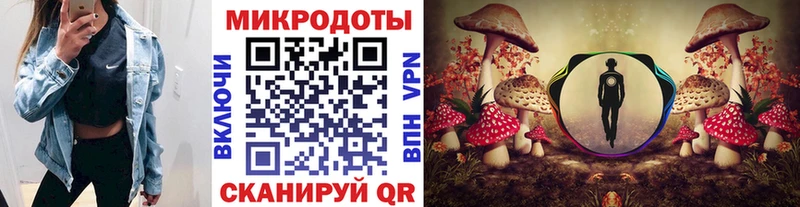 где продают   Опочка  Псилоцибиновые грибы прущие грибы 